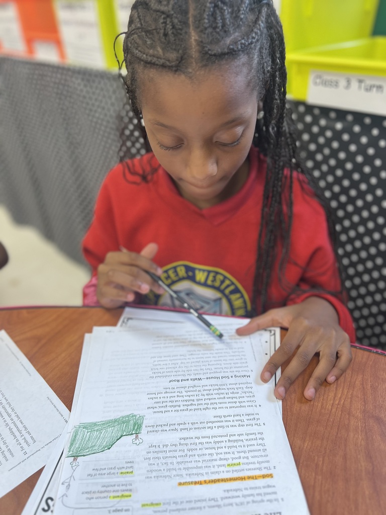 Ms. Colston's small group reading lesson 