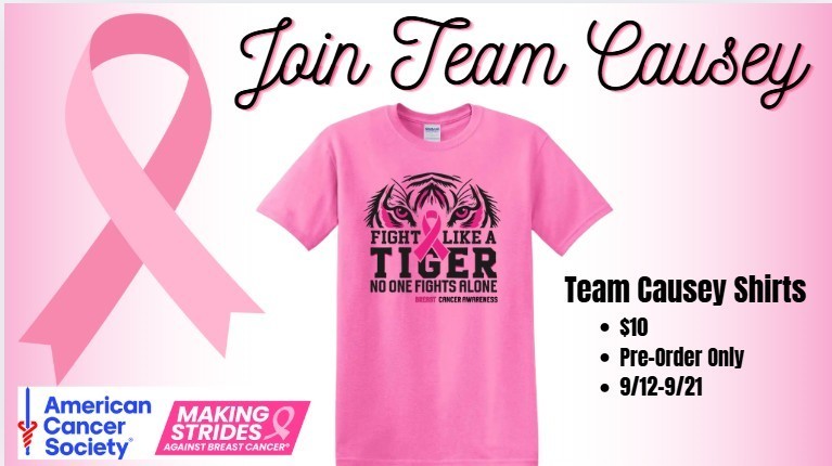 Graphic of pink t-shirt for breast cancer walk