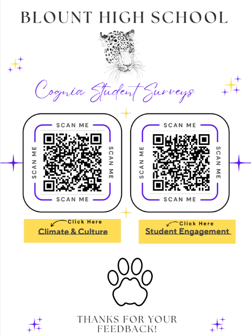 culture and  climate survey
