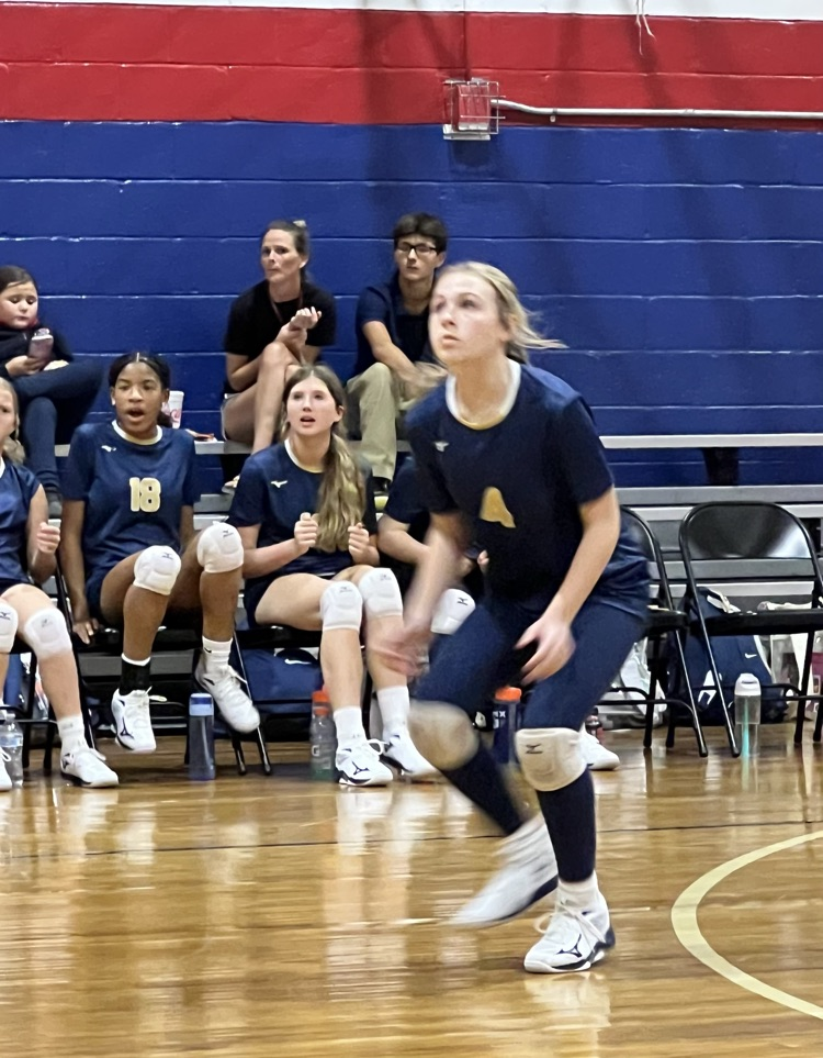 SMS Volleyball Vs Alba