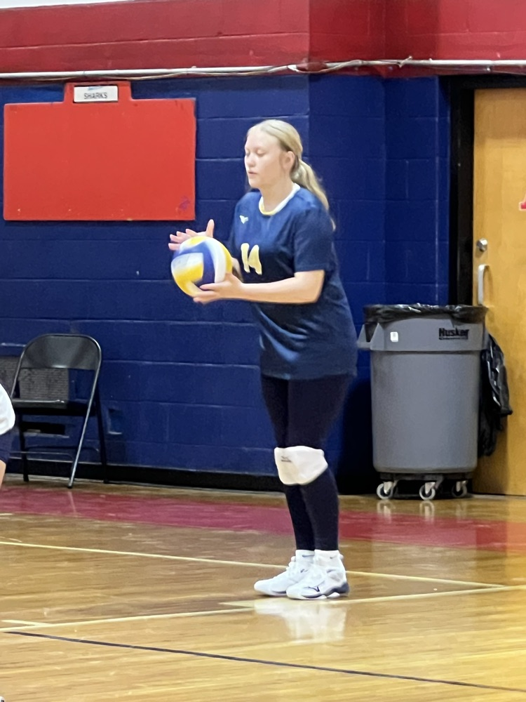 SMS Volleyball Vs Alba