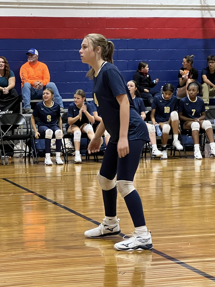 SMS Volleyball Vs Alba