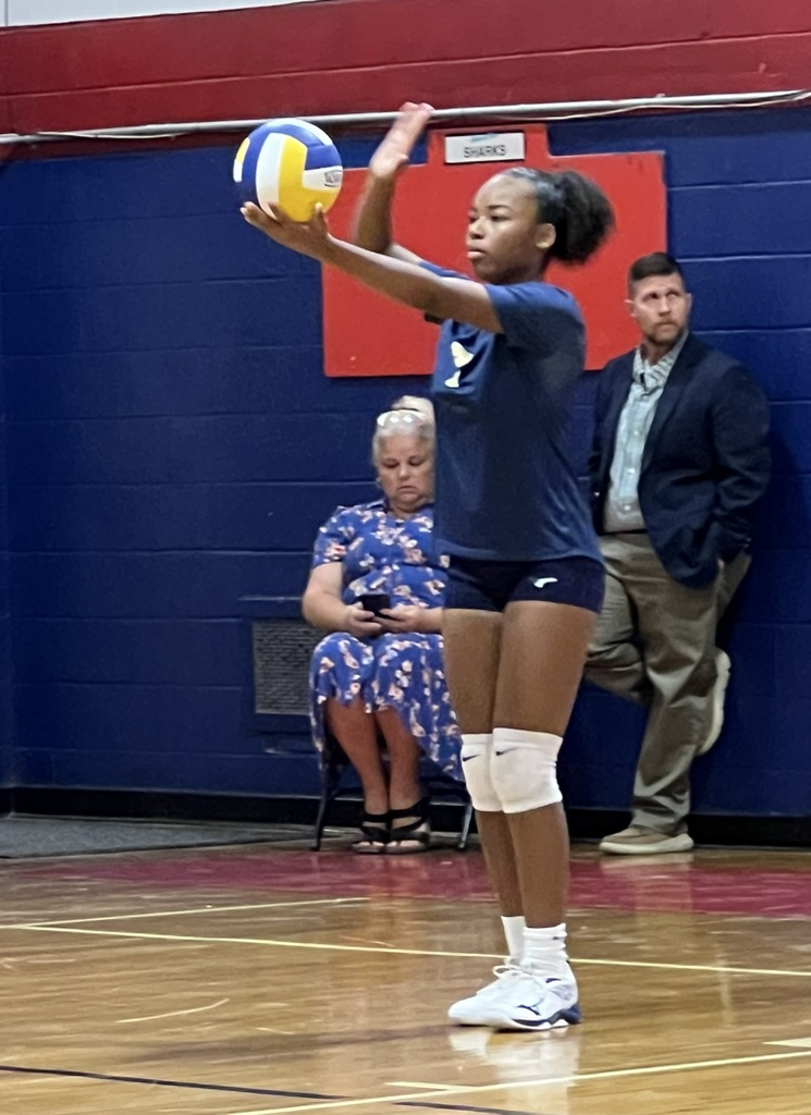 SMS Volleyball Vs Alba
