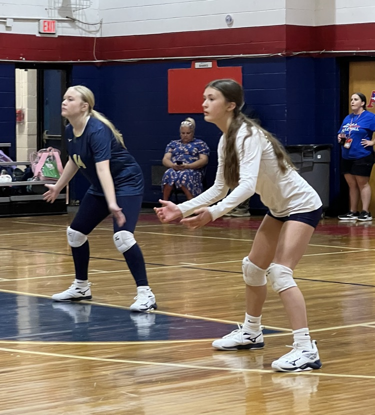 SMS Volleyball Vs Alba