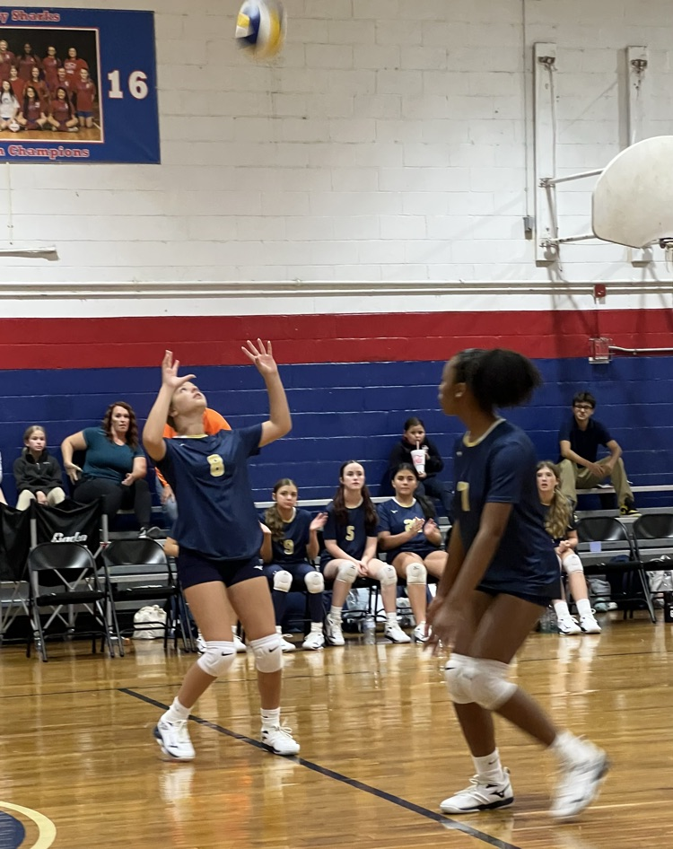 SMS Volleyball Vs Alba
