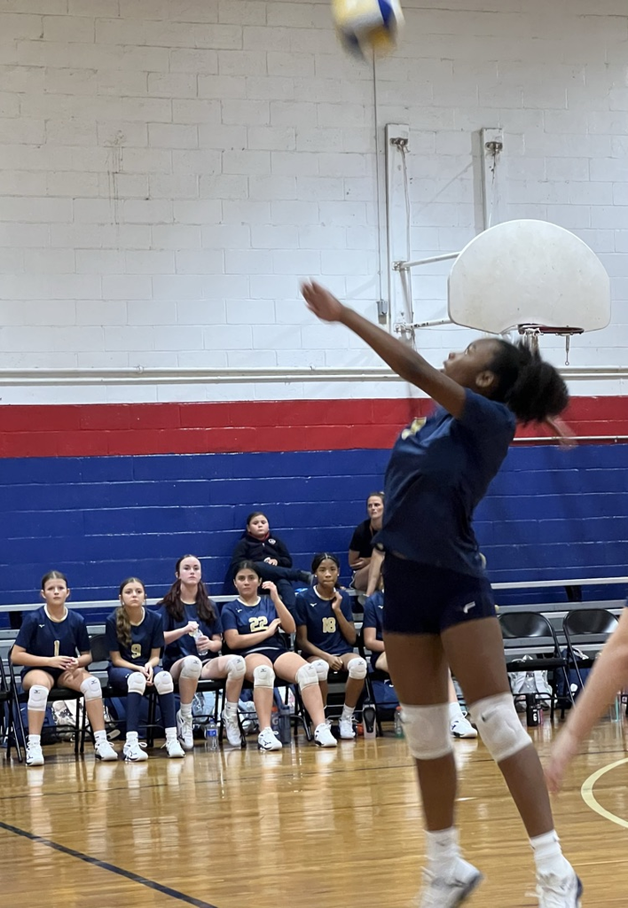 SMS Volleyball Vs Alba