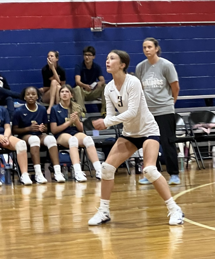 SMS Volleyball Vs Alba