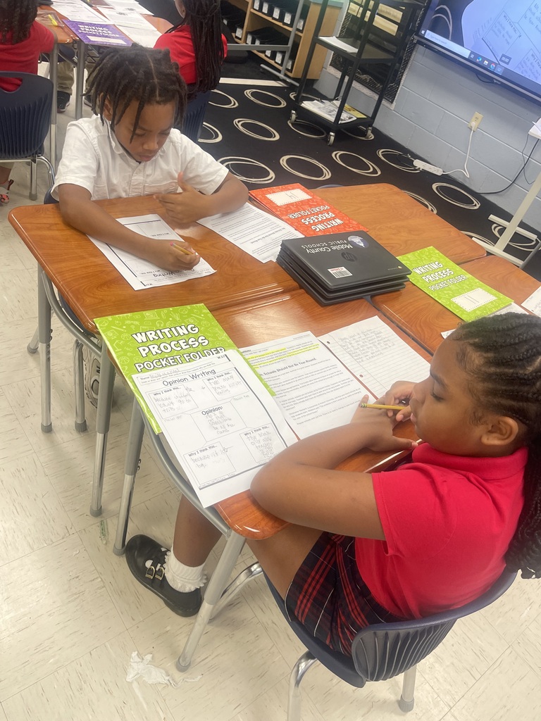 Ms. Hatcher Opinion Writing 
