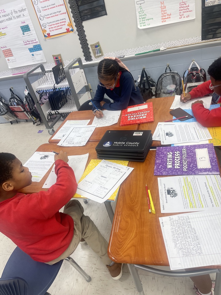 Ms. Hatcher Opinion Writing 
