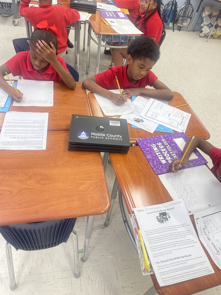 Ms. Hatcher Opinion Writing 