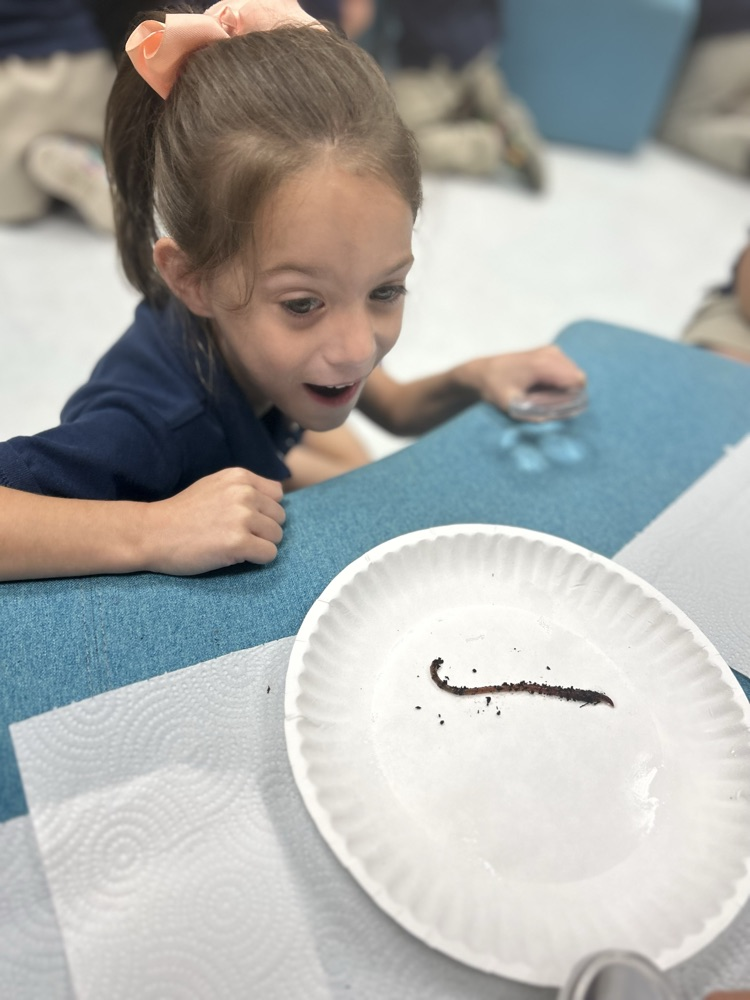 worms 