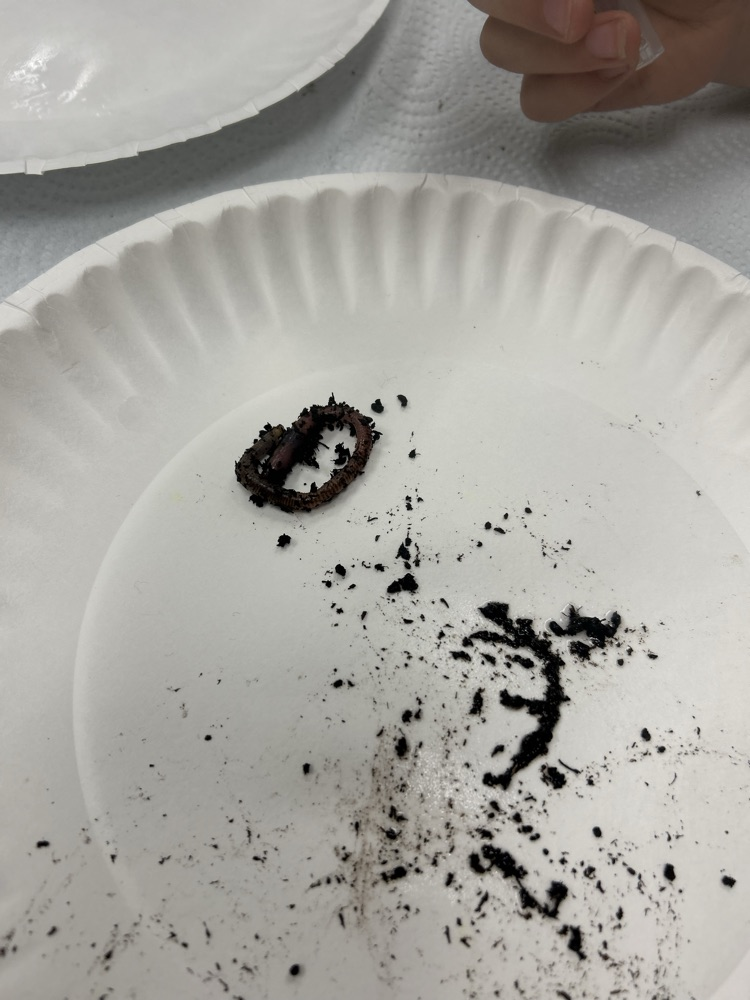 worms 