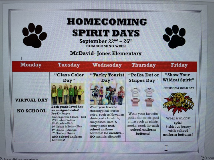 theme days