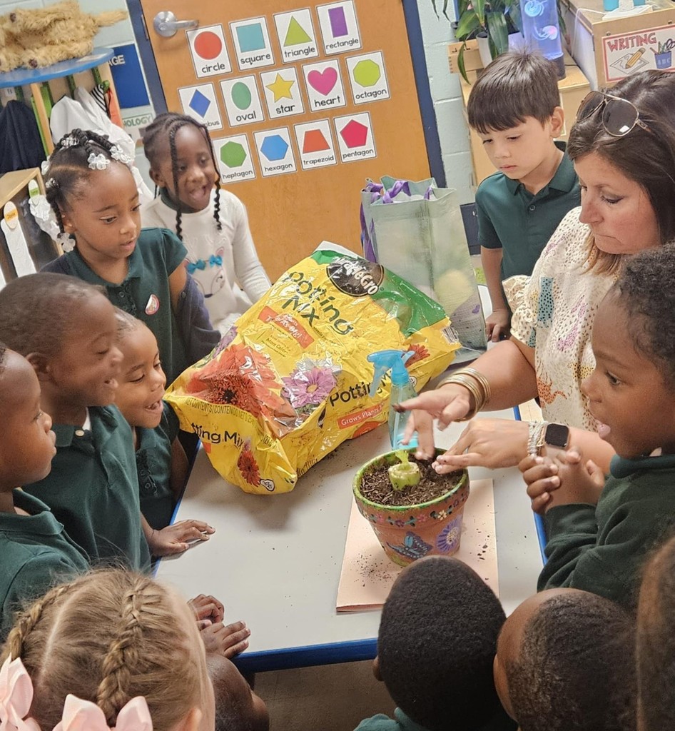 Pre-K student watching their teacher plant celery in a pot