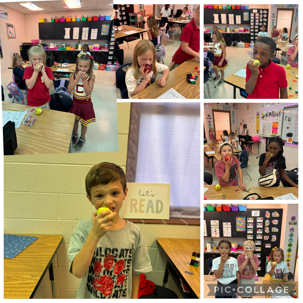 Students apple pictures