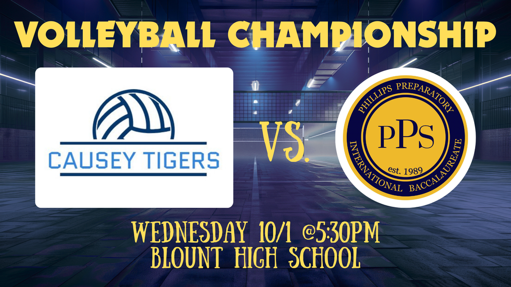 Volleyball Championship Graphic 10-1