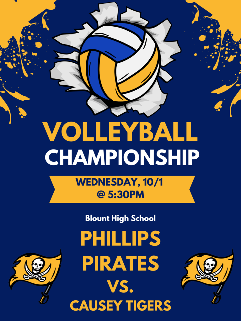 volleyball championship