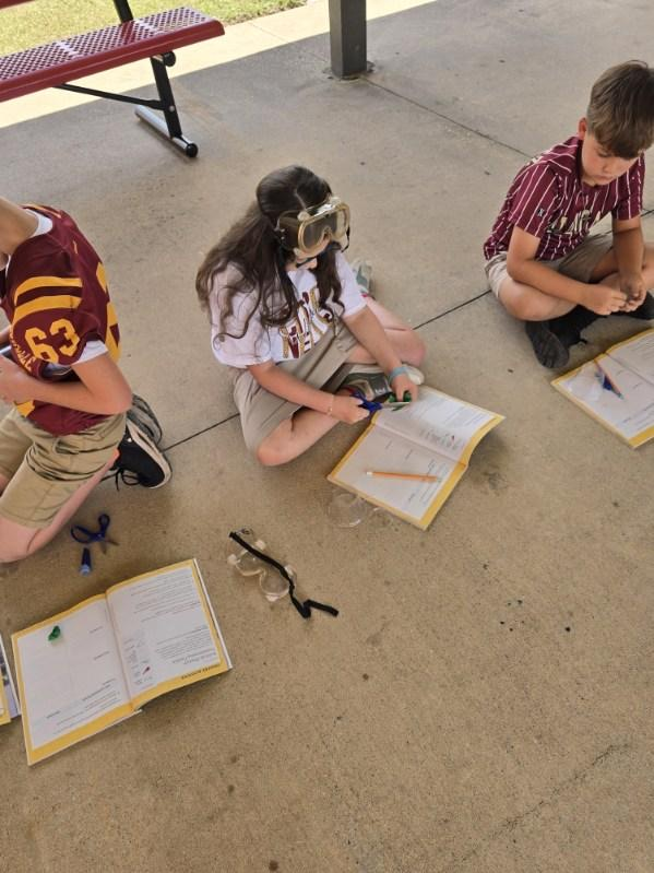 student activity