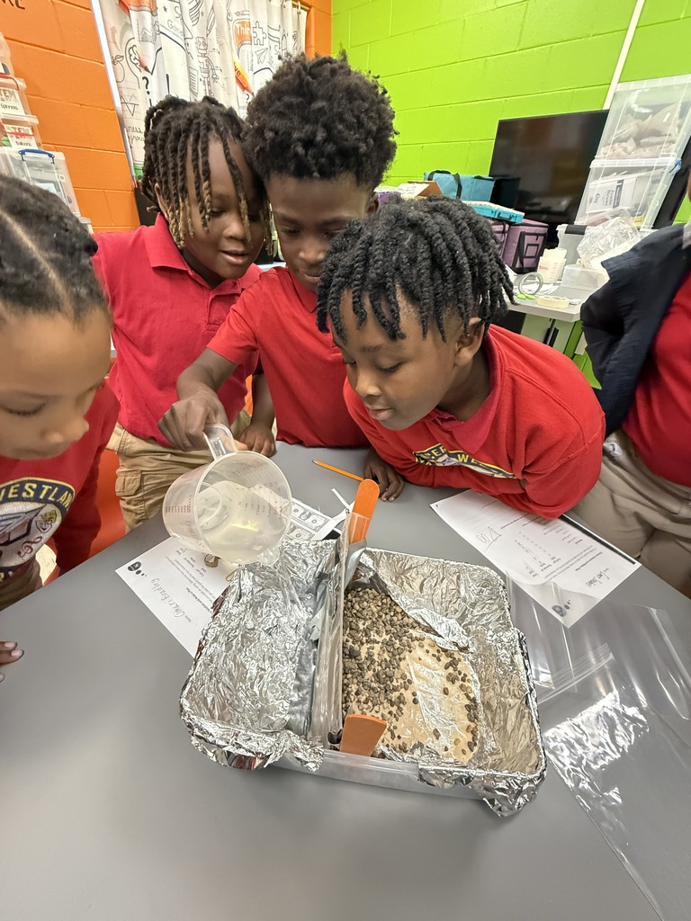 PBL in STEM Lab Hurricane Katrina