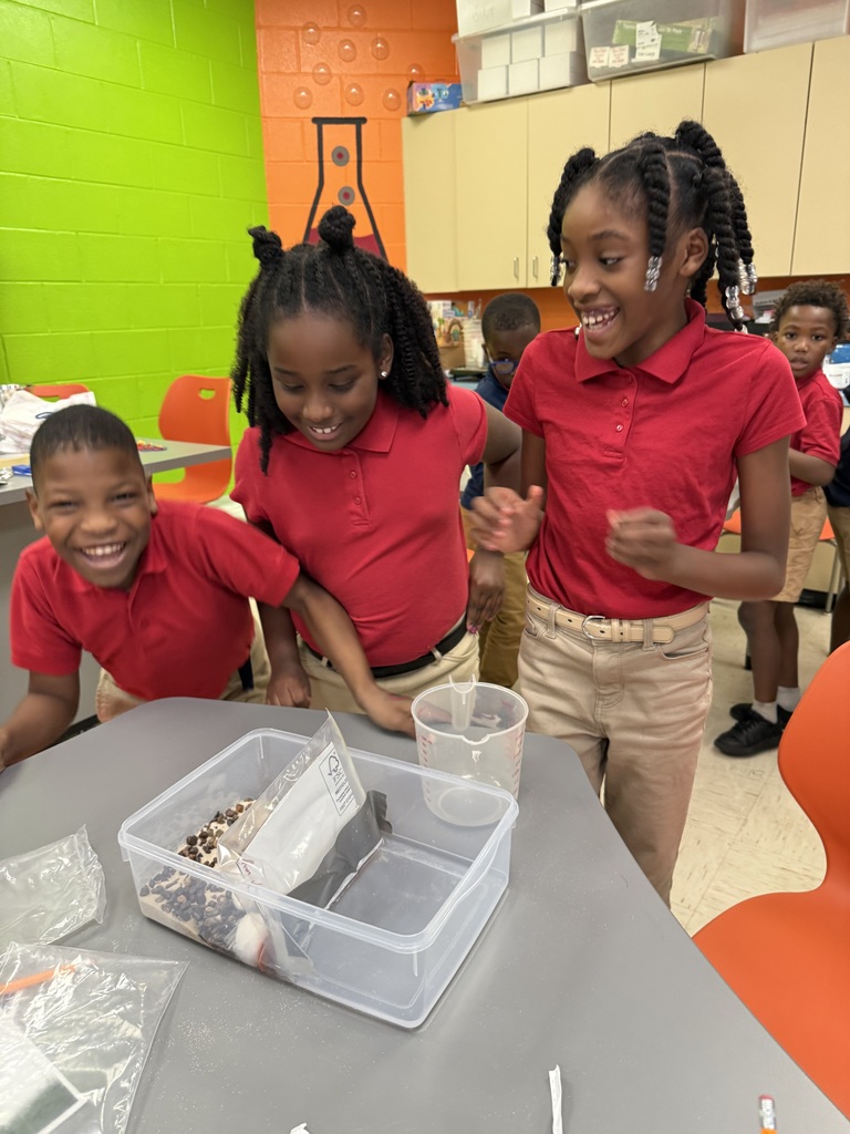 PBL in STEM Lab Hurricane Katrina