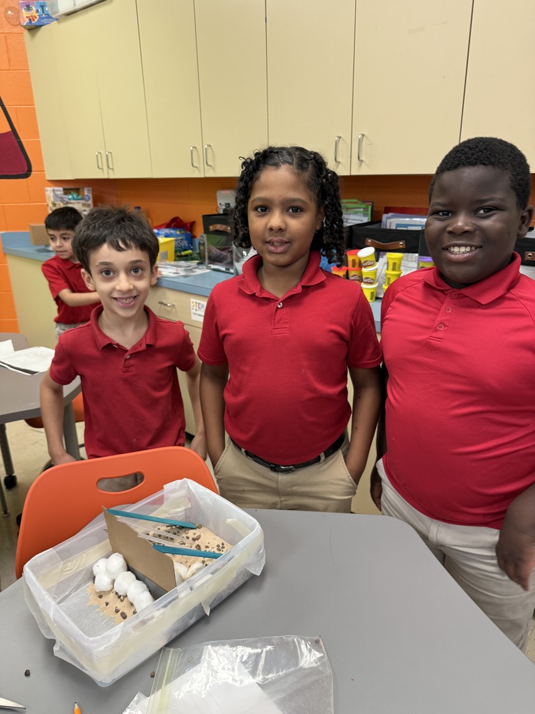 PBL in STEM Lab Hurricane Katrina