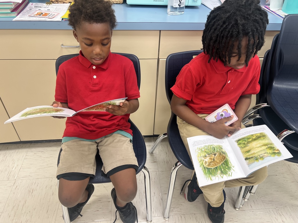 Me/We Reading Strategy