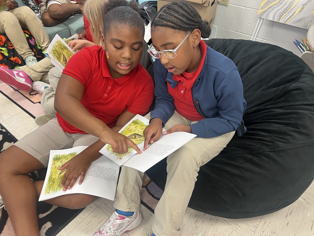 Me/We Reading Strategy