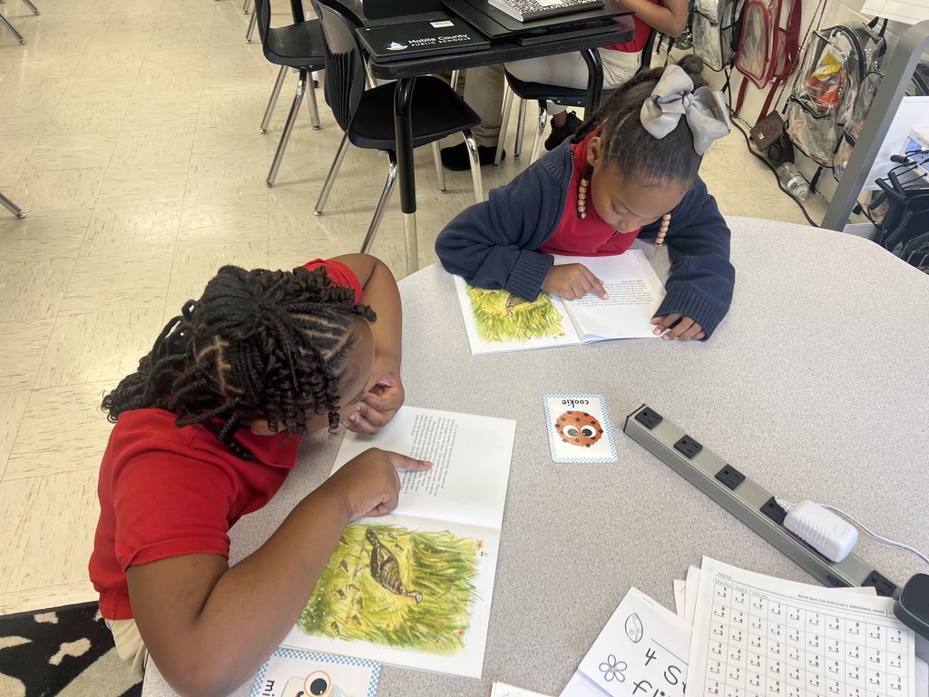 Me/We Reading Strategy