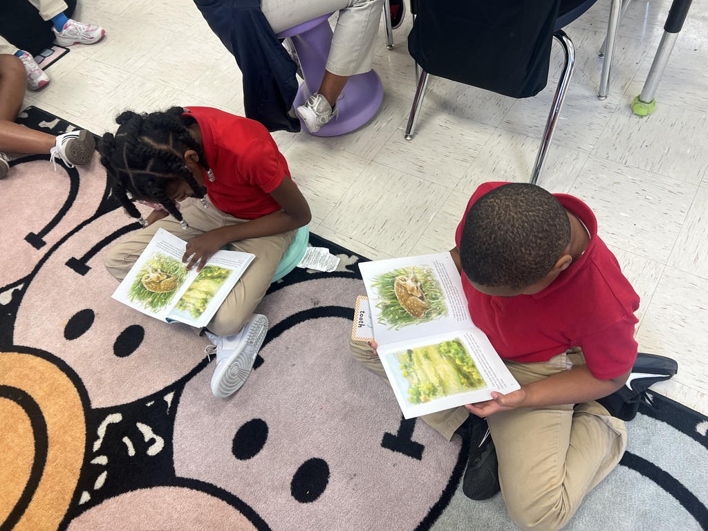 Me/We Reading Strategy