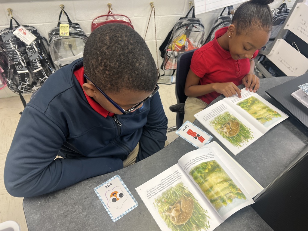 Me/We Reading Strategy