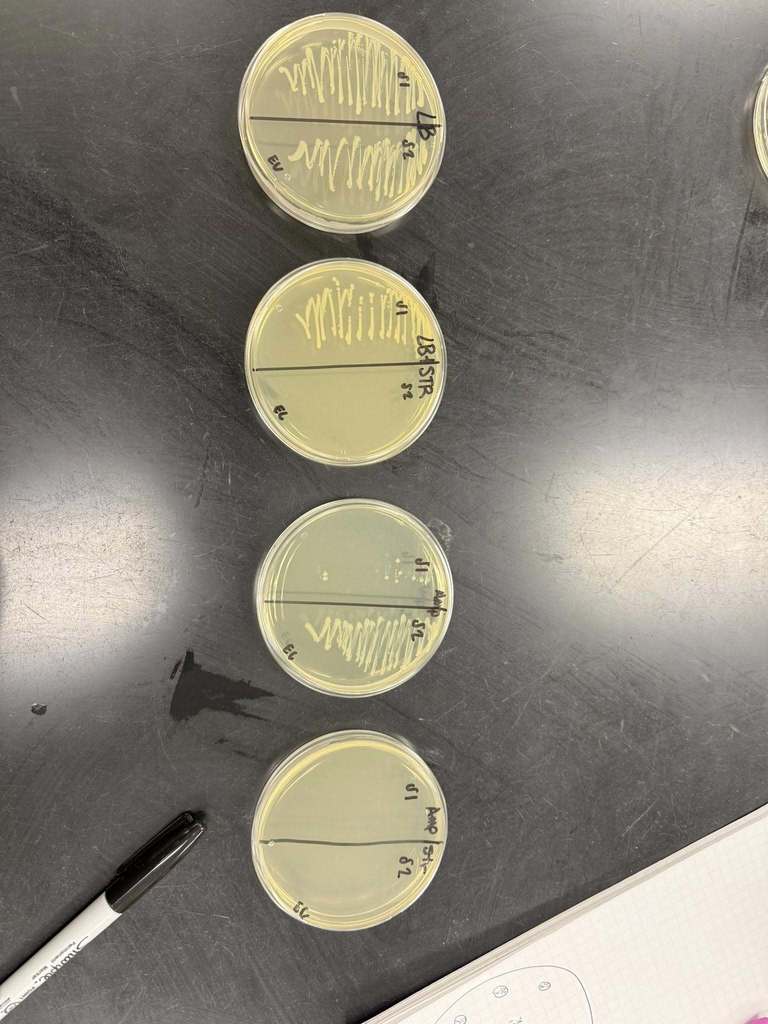 Biomedical