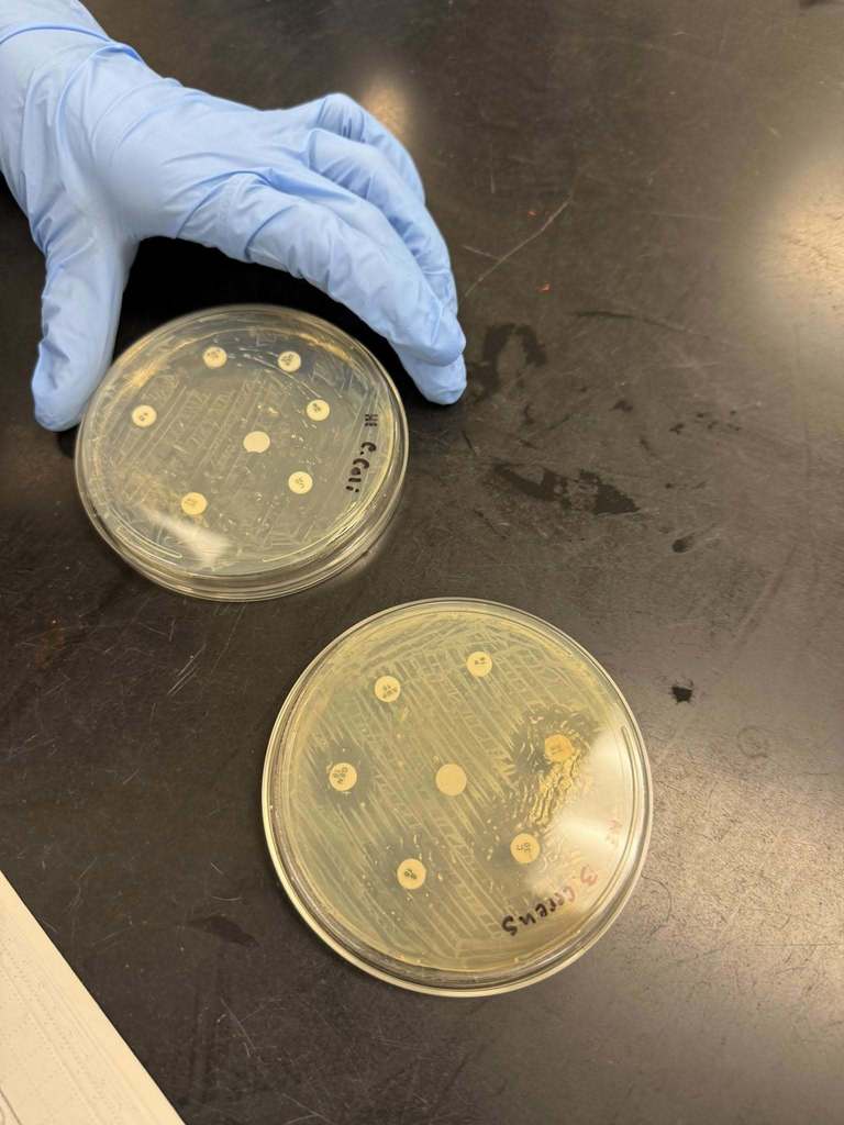 Biomedical