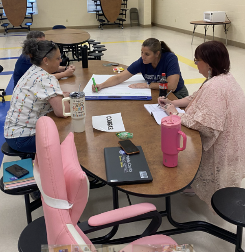 cougar level group task 