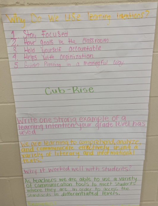 Work sample made by cub and rise levels 