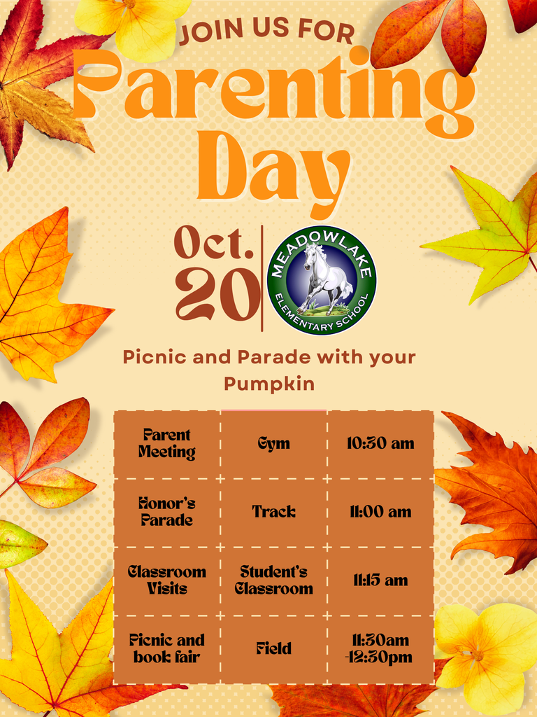 Orange and Green Picnic Illustrative Events Poster (1)