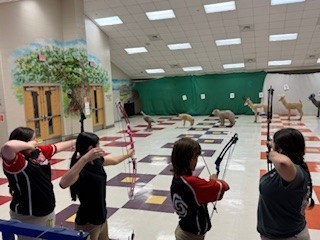 Archery Pic 5