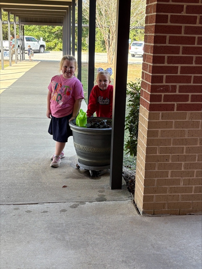 Students taking care of Plants
