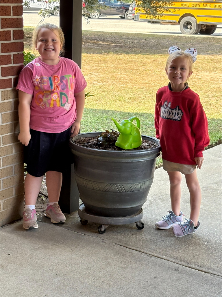 Students taking care of Plants