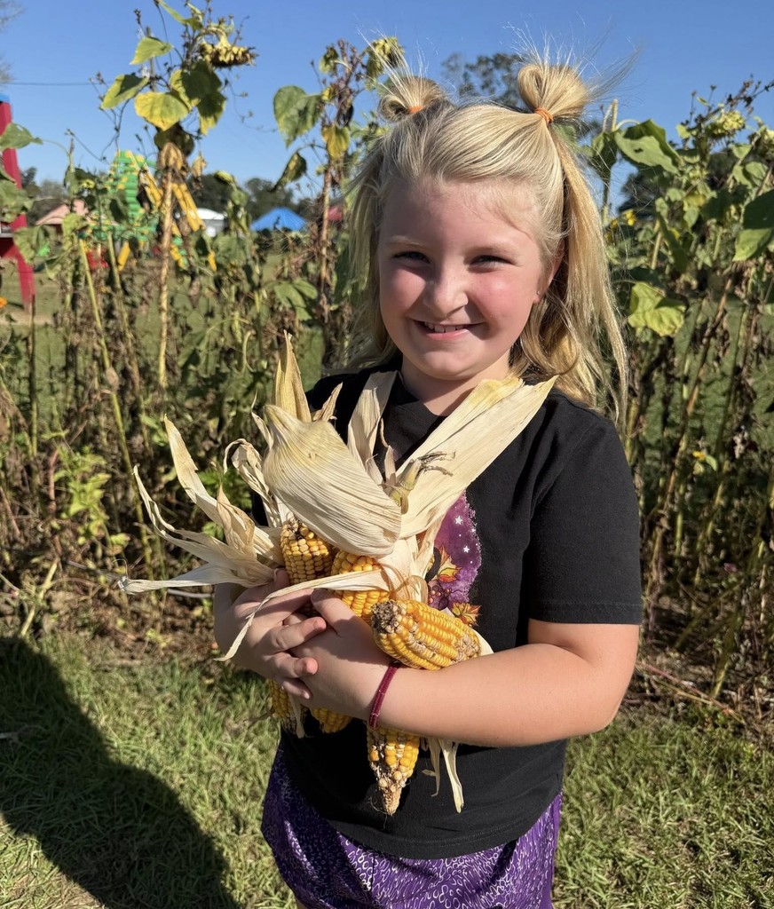 A girl holds a bunch of corn straight from the field
