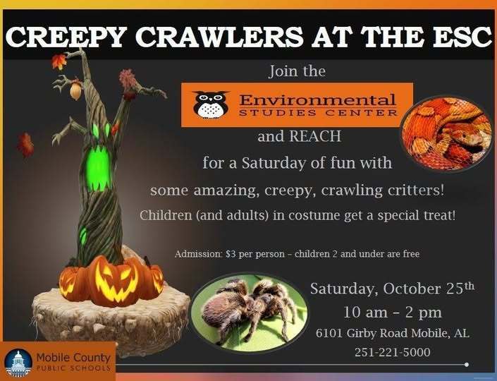 Graphic with a jack-o-lantern and a spider, promoting the Creepy Crawlers at the ESC event on Saturday, October 25