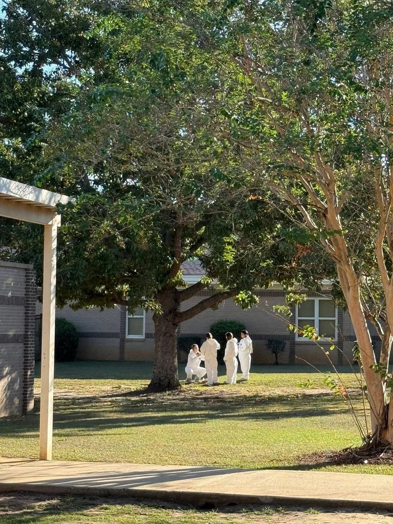 Forensic Science students investigating the case.