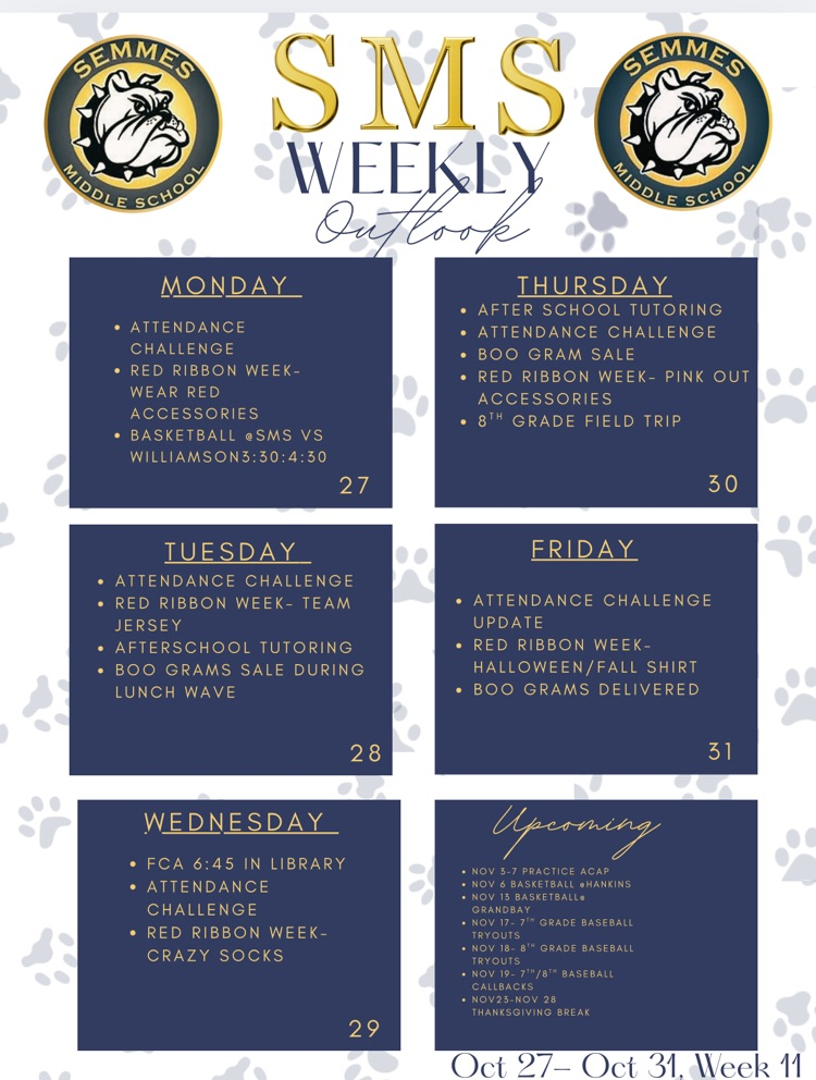 Weekly Outlook Week 11