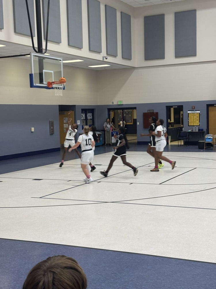 2025 BASKETBALL VS WILLIAMSON