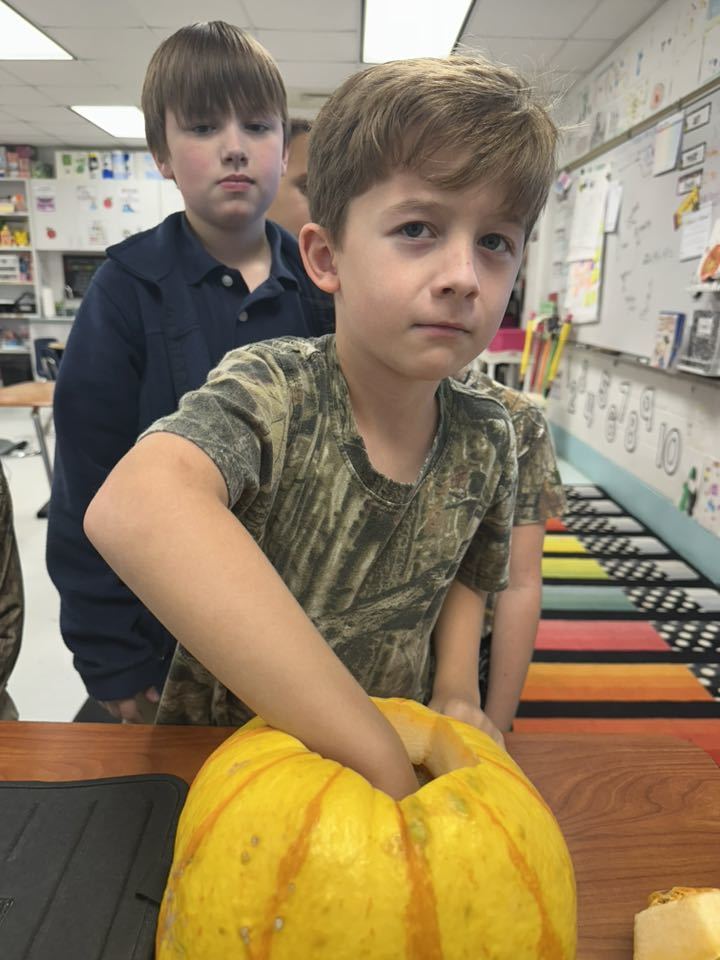 A boy reaches into a pumpkin