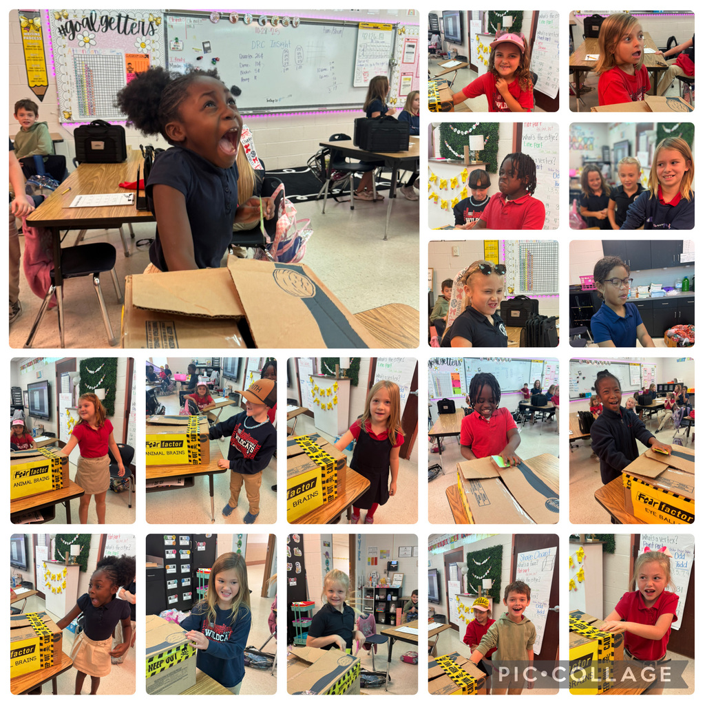 students reaching into the boxes