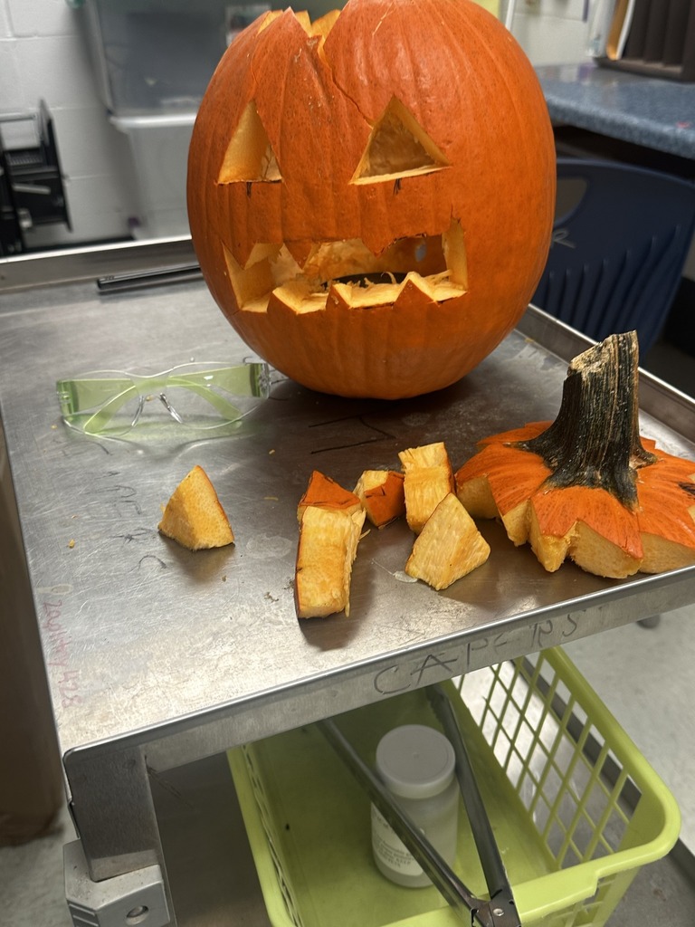 The pumpkin that was carved as part of the lab.