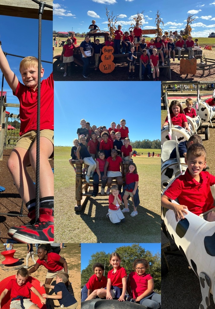 students on a field trip