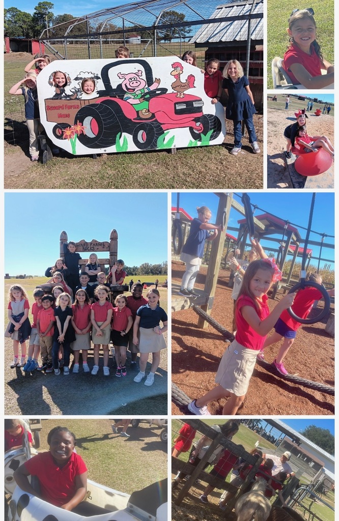 students on a field trip