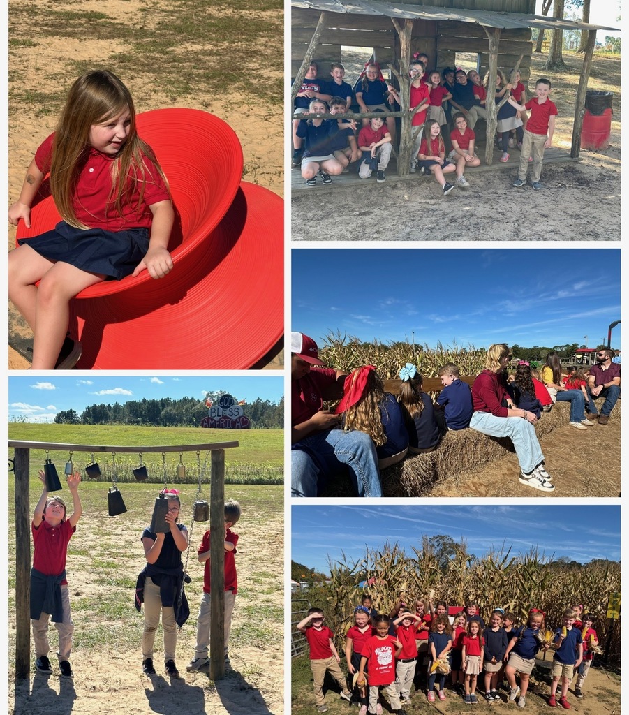 students on a field trip