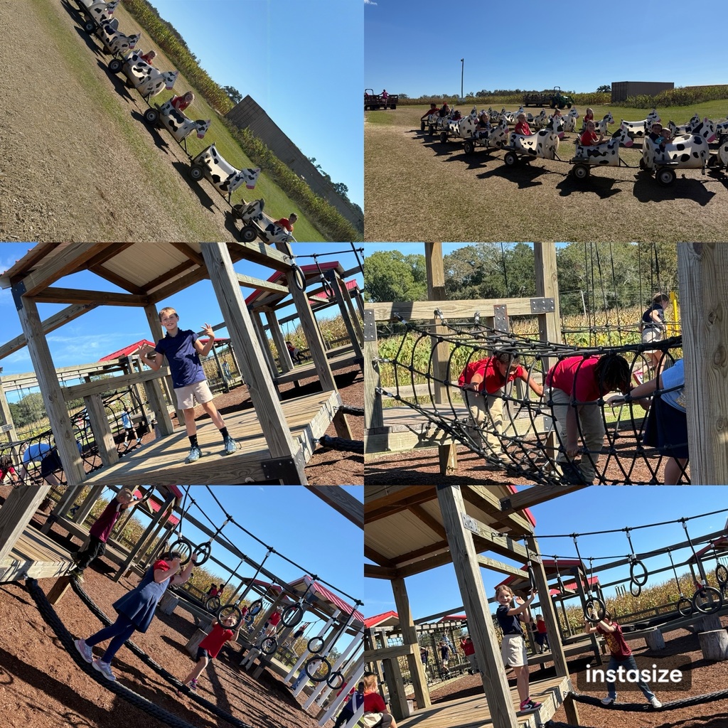 students on a field trip